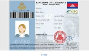 E-visa